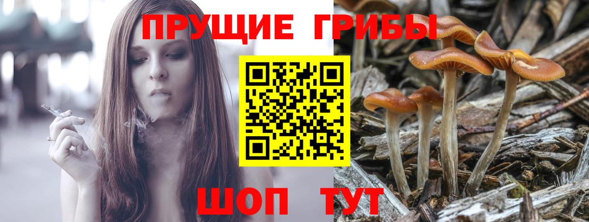 Галлюциногенные грибы ЛСД Дивногорск